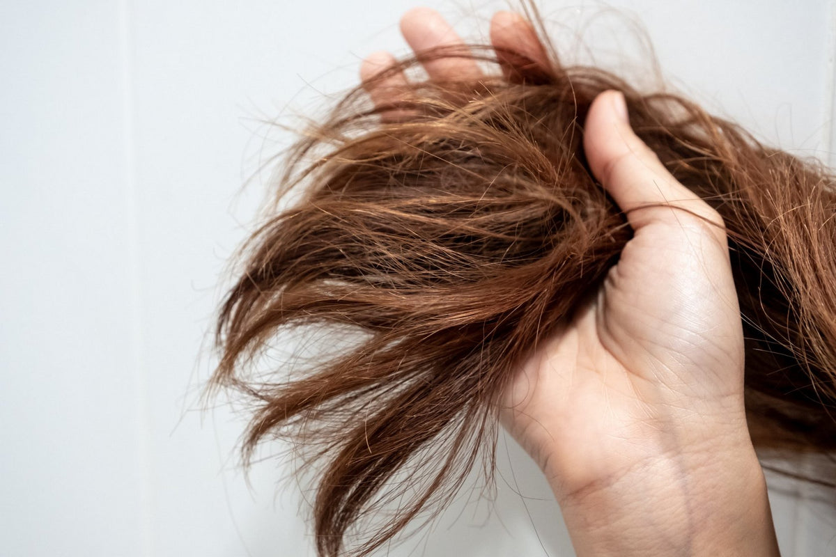 Caring for Dry, Damaged Hair That Splits and Breaks Easily